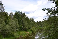 Lepota e`ko-otel`: Территория - photo 9