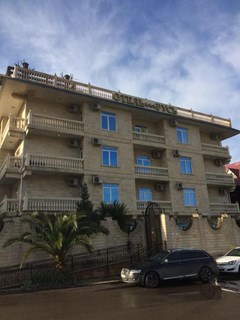 Rus` otel` ( Veseloe) Otel`: Внешний вид - photo 4