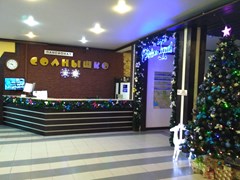 Solny`shko (Adler) Pansionat: Ресепшн - photo 10