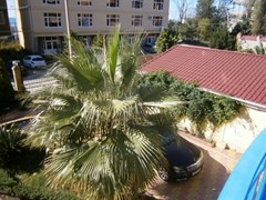 Shtil` Gostevoj dom: Территория - photo 7