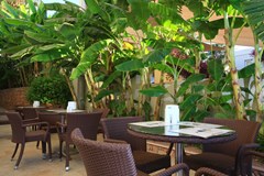 Mandarin Resort Bodrum: Bar - photo 6