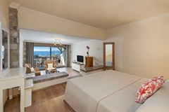 Sarpedor Boutique Hotel: Room DOUBLE SINGLE USE SUPERIOR - photo 28