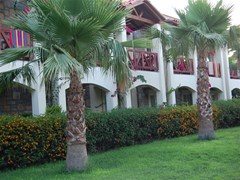 Tiana  Beach: General view - photo 11