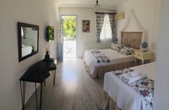 Alasonya Hotel - photo 4