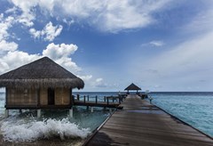 Taj Coral Reef Resort & Spa: Hotel exterior - photo 12