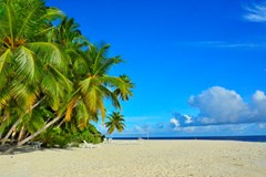 Fihalhohi Island Resort: Beach - photo 17