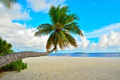 Fihalhohi Island Resort: Beach - photo 16