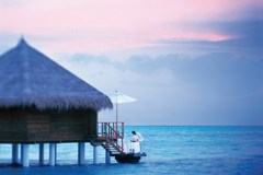 Taj Exotica Resort & Spa - photo 45