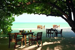 Taj Exotica Resort & Spa - photo 18