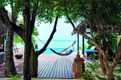 Taj Exotica Resort & Spa - photo 58