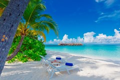 Angaga Island Resort and Spa: Beach - photo 6