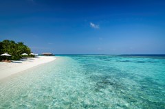 Mirihi Island Resort: Beach - photo 13