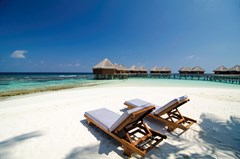 Mirihi Island Resort: Beach - photo 26