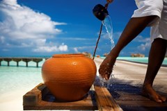 Gili Lankanfushi Maldives - photo 84