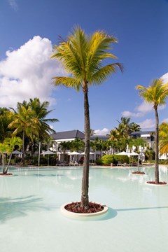 The Ravenala: Pool - photo 32