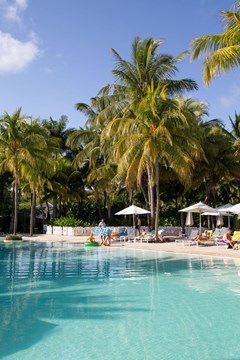 The Ravenala: Pool - photo 42