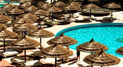 Seagull Beach Resort: Pool - photo 2