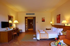 Charmillion Aqua Park : Room - photo 10