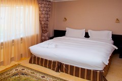Royal Petrol Hotel: Room DOUBLE STANDARD - photo 1