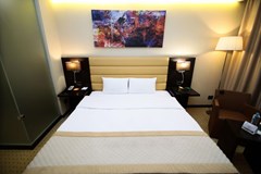 Comfort Astana: Room DOUBLE SINGLE USE STANDARD - photo 17