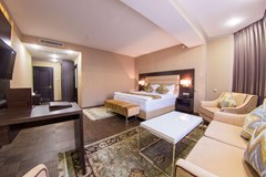 Best Western Plus Astana: Room DOUBLE PREMIUM KING BED - photo 67