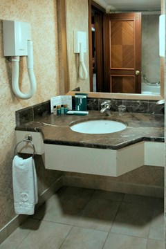 Diplomat Hotel and Business Center: Room SINGLE STANDARD - photo 251