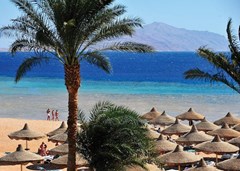 Baron Palms Resort - photo 5