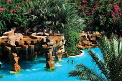 Baron Palms Resort - photo 10