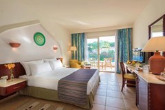 Baron Palms Resort - photo 14