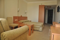 Elysee Hotel - photo 3