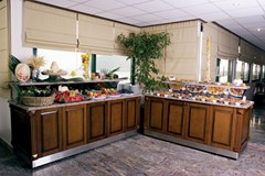 Elysee Hotel - photo 4