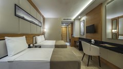 Aydinbey Queen's Palace & Spa - photo 47