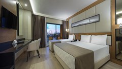 Aydinbey Queen's Palace & Spa - photo 48