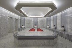 Aydinbey Queen's Palace & Spa - photo 28