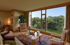 Gloria Verde Resort & Spa Executive Rooms: King Suite - photo 21
