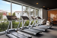 IC Hotels Santai Family Resort: Фитнес-зал - photo 41
