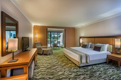 Susesi Luxury Resort: Deluxe Superior - photo 44