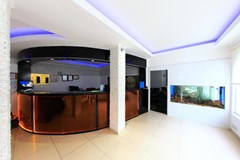 Hotel Golden Sun: Ресепшен - photo 6