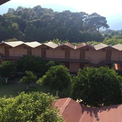 Woodline Hotel - photo 23