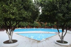 Woodline Hotel - photo 7