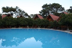 Woodline Hotel - photo 6