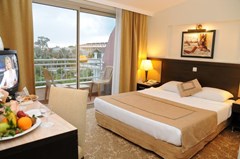 Elamir Magic Dream: Номер Standard - photo 2