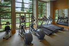 Barut Hemera: Фитнес-зал - photo 7