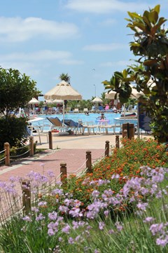 Seaden Sea World Resort & Spa - photo 3