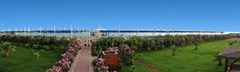 Seaden Sea World Resort & Spa - photo 5