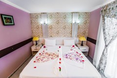 Elysium Elite Hotel - photo 10