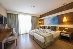 Holiday City Hotel: Номер Standard - photo 1