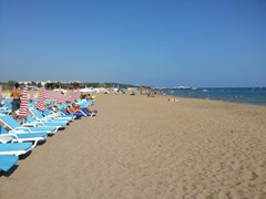 Summer Rose Hotel - photo 13