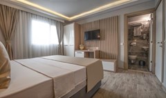 Sky Star Hotel: Номер Standard - photo 4