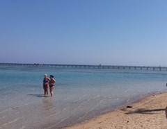 ELPHISTONE RESORT - photo 11